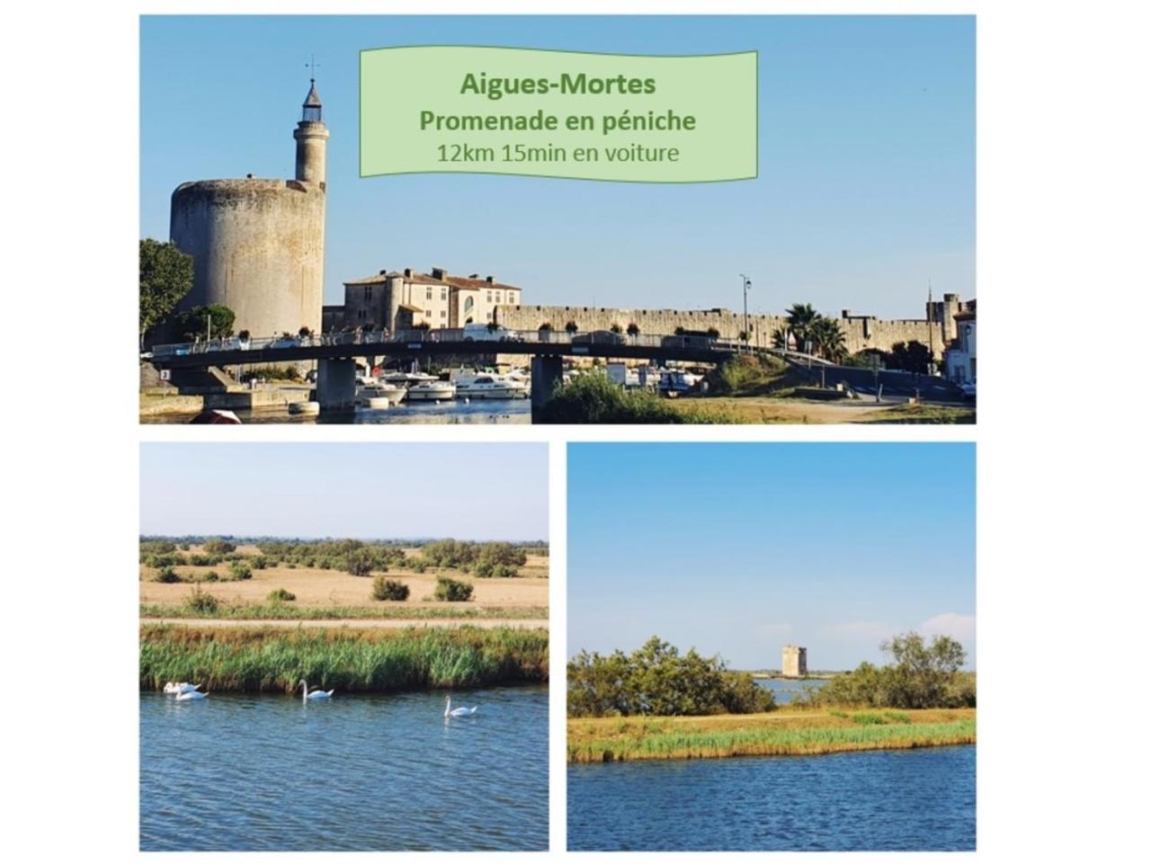T2 West City Parking Clim Wifi 4Pers - Rossiconciergerie - Linge Inclus La Grande Motte Extérieur photo