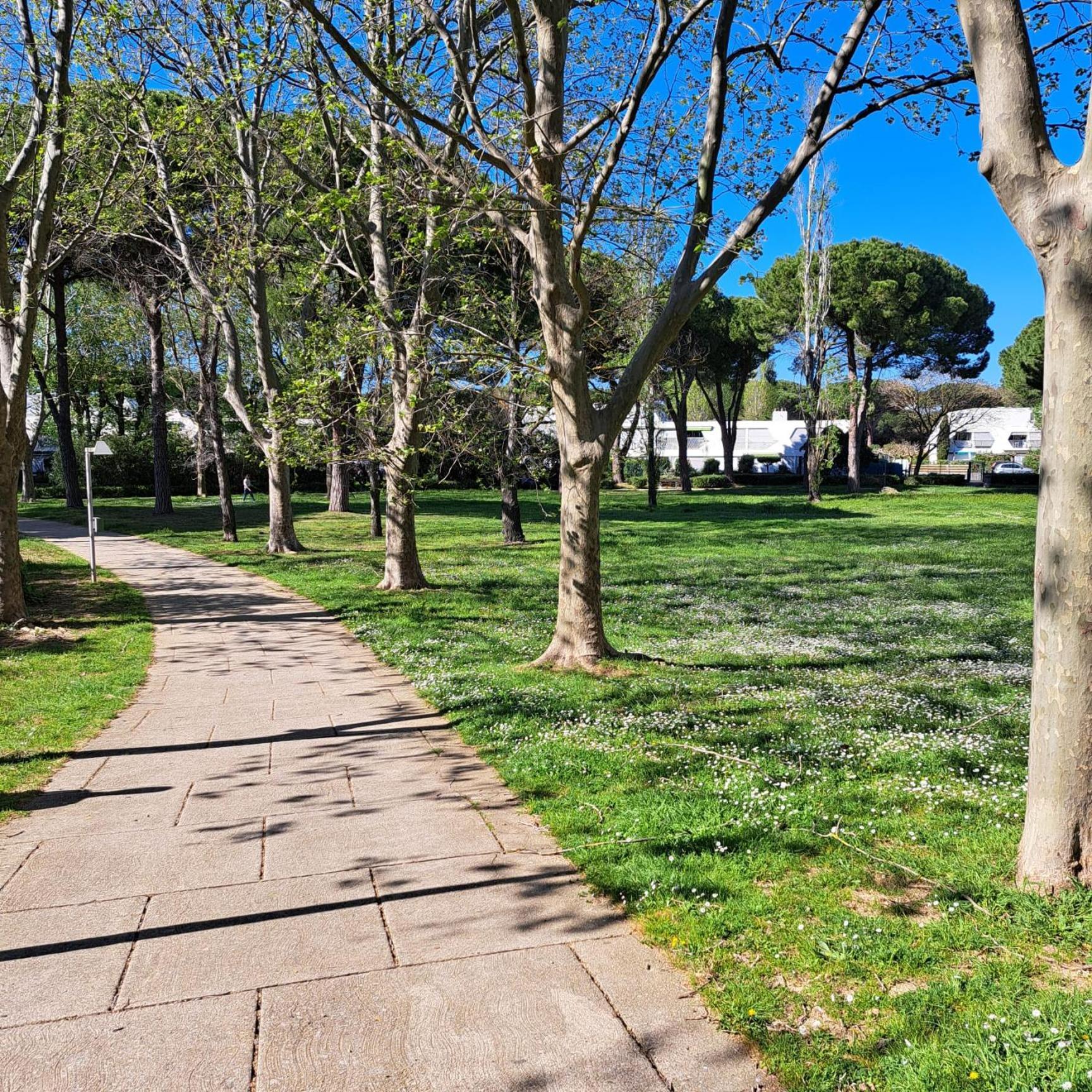 T2 West City Parking Clim Wifi 4Pers - Rossiconciergerie - Linge Inclus La Grande Motte Extérieur photo